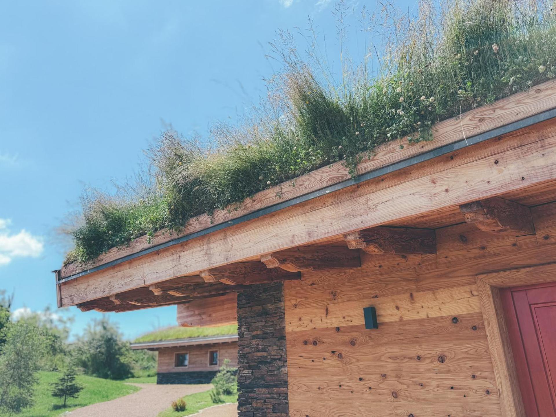 Chalets Resort Cinovec Экстерьер фото