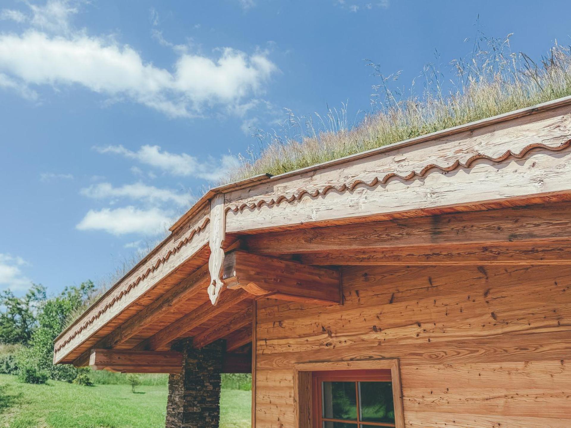 Chalets Resort Cinovec Экстерьер фото